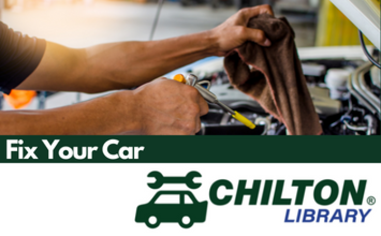 Chilton auto repair link