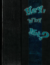 Anahuac high school yearbook cover 1995